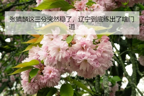zhang-zhen-lin-zhe-san-fen-tu-ran-wen-le-liao-ning-dao-di-lian-chu-le-sha-men-dao-2-940.jpg