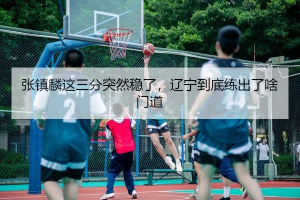 张镇麟这三分突然稳了，辽宁到底练出了啥门道