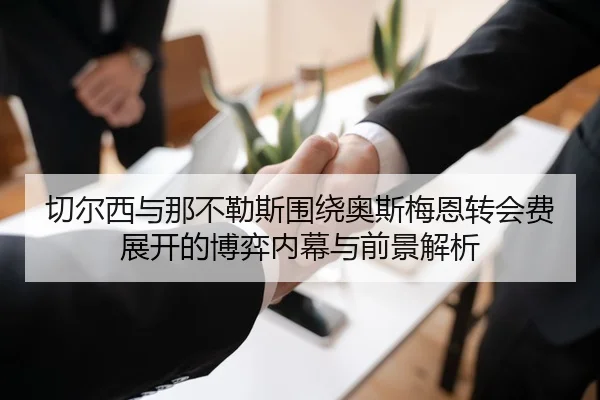 切尔西与那不勒斯围绕奥斯梅恩转会费展开的博弈内幕与前景解析