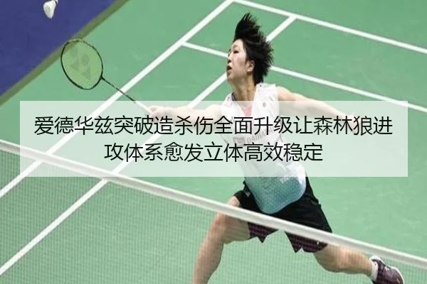 爱德华兹突破造杀伤全面升级让森林狼进攻体系愈发立体高效稳定
